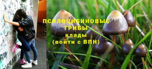 а пвп мука Нея