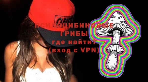 spice Новодвинск
