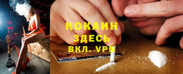 spice Новодвинск
