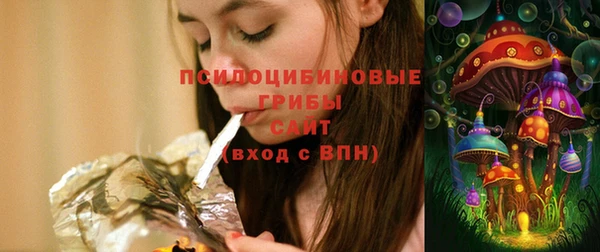 spice Новодвинск