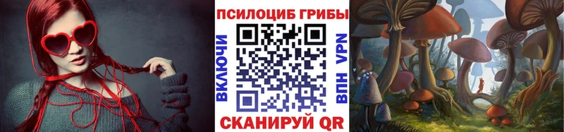 Галлюциногенные грибы Cubensis где можно купить Партизанск