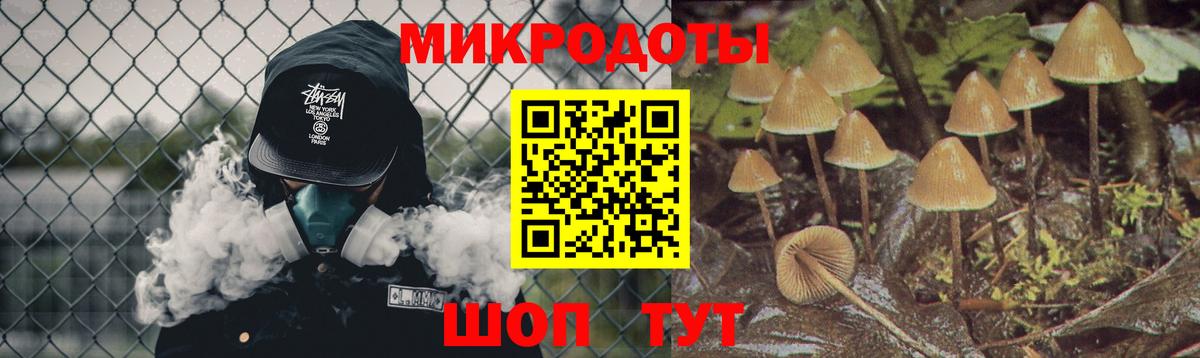 Псилоцибиновые грибы GOLDEN TEACHER Партизанск