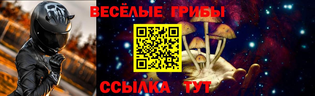 Галлюциногенные грибы мухоморы  Псилоцибиновые грибы Psilocybe  Вход с VPN  Партизанск 
